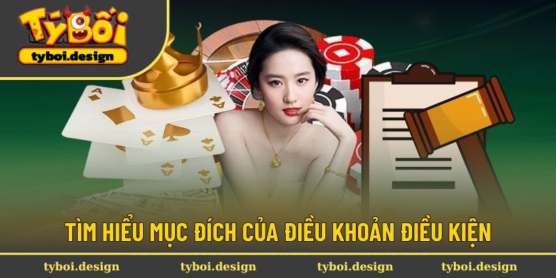 Tìm hiểu mục đích của điều khoản điều kiện Tyboi